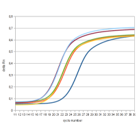 Realtime PCR Curves