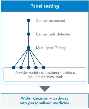 Multi Gene Panel Testing Diagram